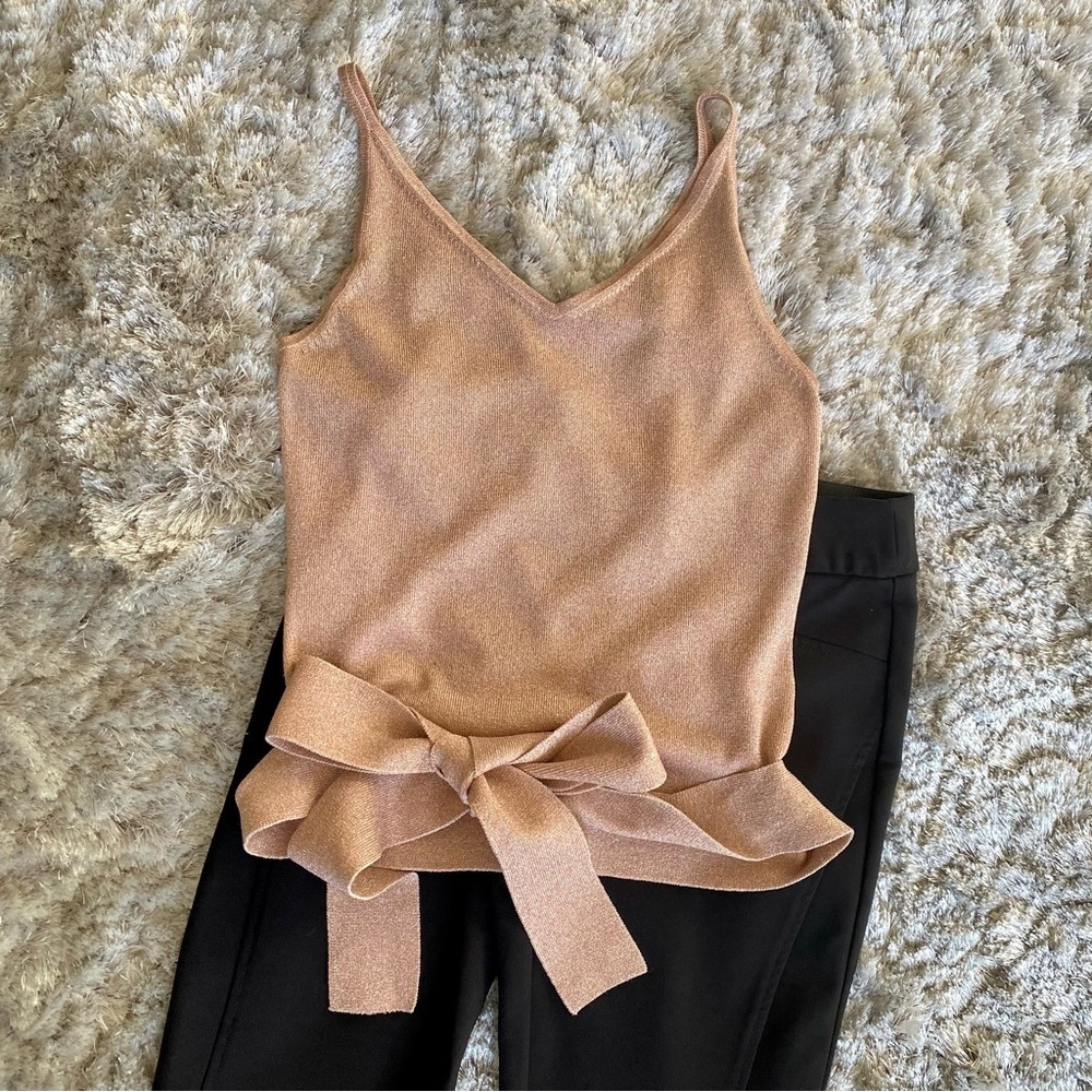 Express Pink Shimmer Sleeveless Top with Tie Size Small - Picture 2 of 7